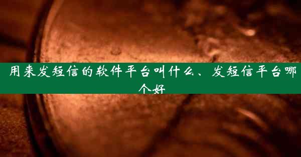 用来发短信的软件平台叫什么、发短信平台哪个好