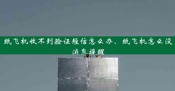 纸飞机收不到验证短信怎么办、纸飞机怎么没消息提醒