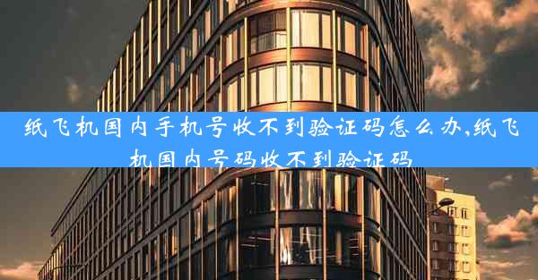 纸飞机国内手机号收不到验证码怎么办,纸飞机国内号码收不到验证码