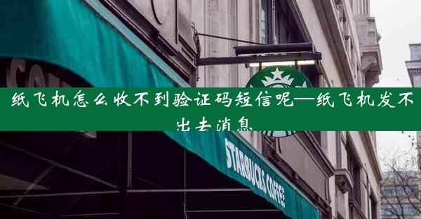 纸飞机怎么收不到验证码短信呢—纸飞机发不出去消息