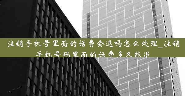 注销手机号里面的话费会退吗怎么处理_注销手机号码里面的话费多久能退