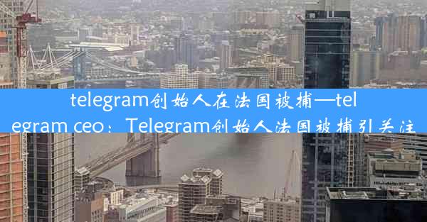 telegram创始人在法国被捕—telegram ceo：Telegram创始人法国被捕引关注