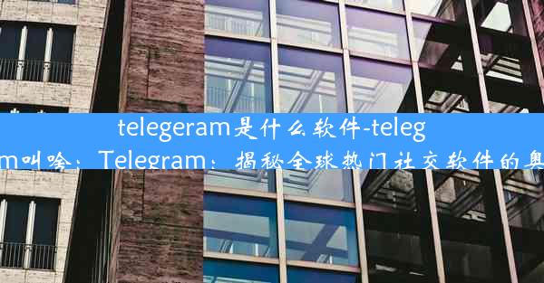 telegeram是什么软件-telegram叫啥：Telegram：揭秘全球热门社交软件的奥秘