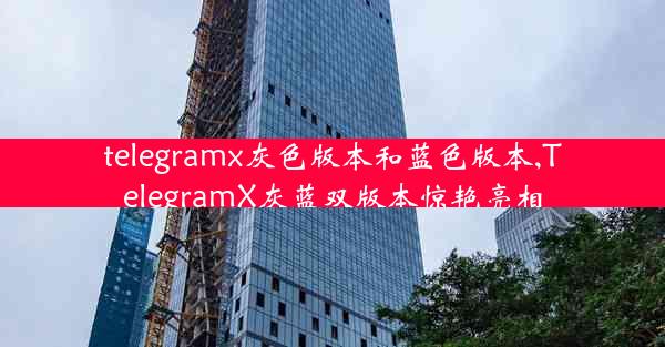 telegramx灰色版本和蓝色版本,TelegramX灰蓝双版本惊艳亮相