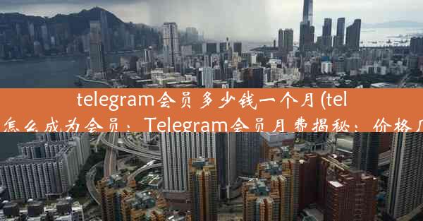 telegram会员多少钱一个月(telegram怎么成为会员：Telegram会员月费揭秘：价格几何？)