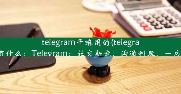 telegram干嘛用的(telegram都有什么：Telegram：社交新宠，沟通利器，一应俱全)