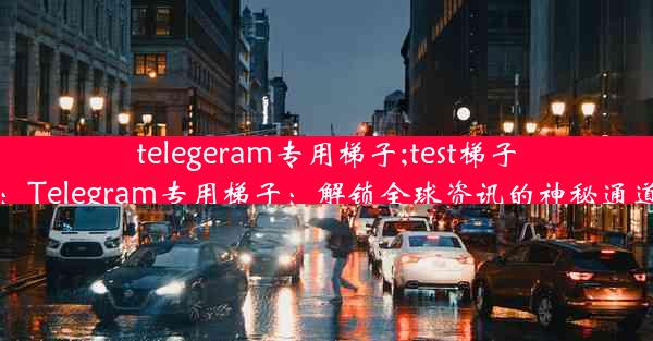 telegeram专用梯子;test梯子：Telegram专用梯子：解锁全球资讯的神秘通道