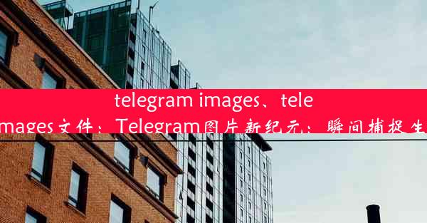 telegram images、telegram images文件：Telegram图片新纪元：瞬间捕捉生活精彩