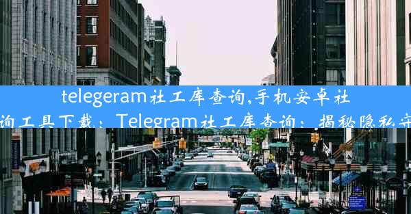 telegeram社工库查询,手机安卓社工库查询工具下载：Telegram社工库查询：揭秘隐私守护之道