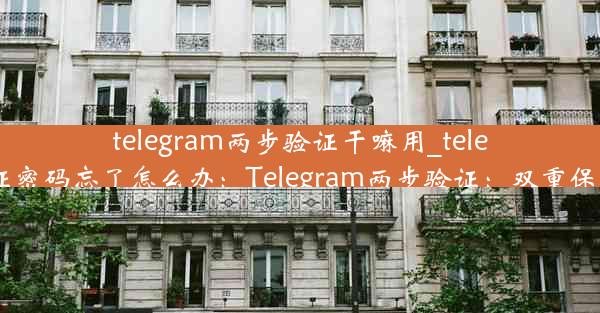 telegram两步验证干嘛用_telegram两步验证密码忘了怎么办：Telegram两步验证：双重保障，安全无忧