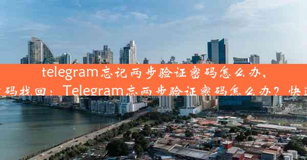 telegram忘记两步验证密码怎么办,telegram密码找回：Telegram忘两步验证密码怎么办？快速解锁攻略