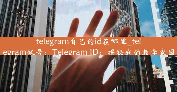 telegram自己的id在哪里_telegram帐号：Telegram ID：揭秘我的数字家园